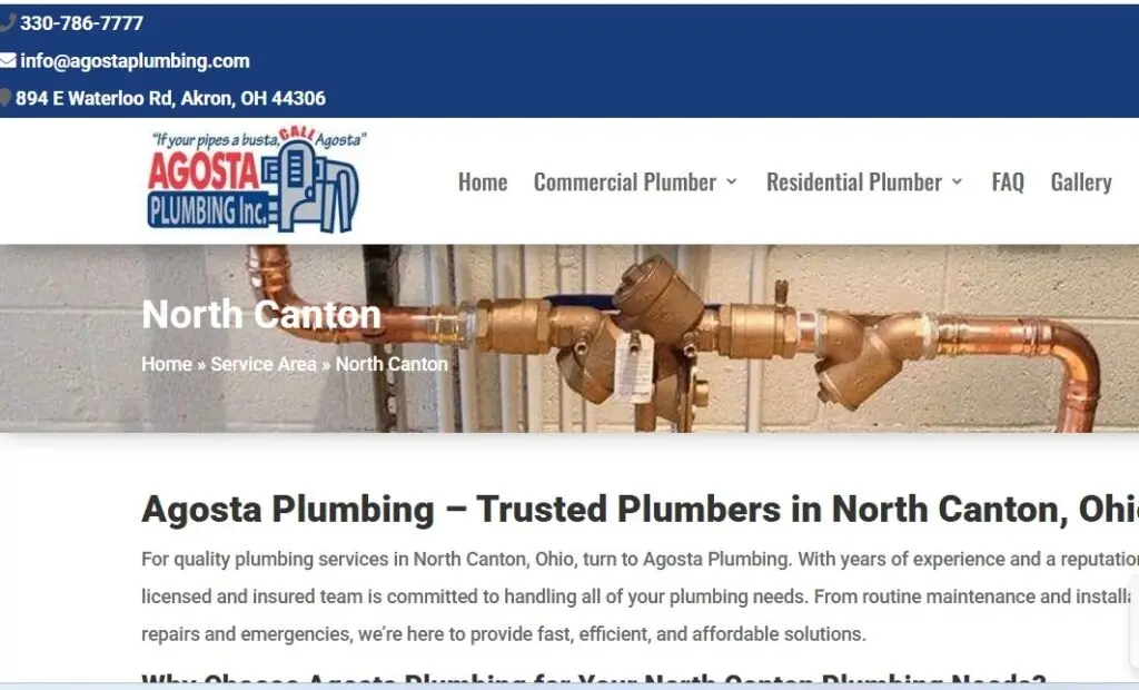 SEO Optimization Expert