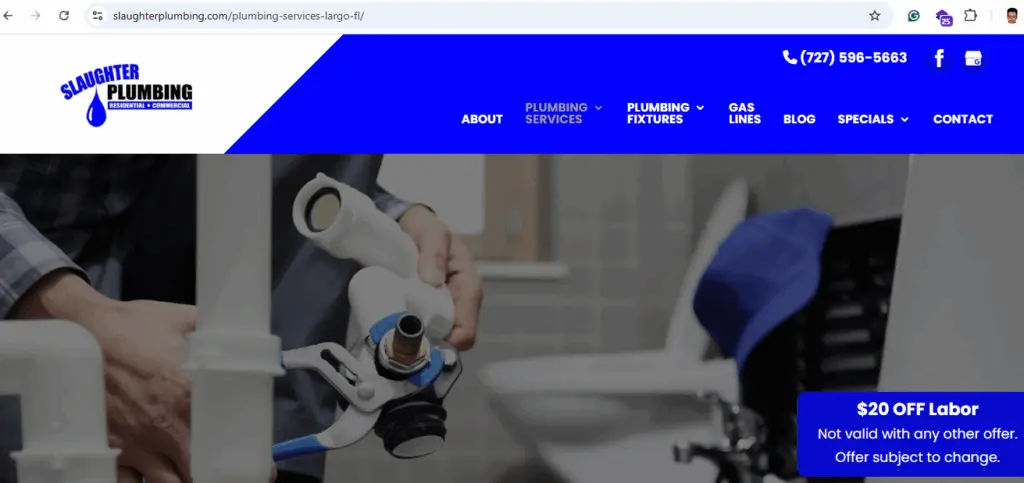 WordPress Portfolio Design